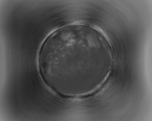 X0000094381235200711162124
