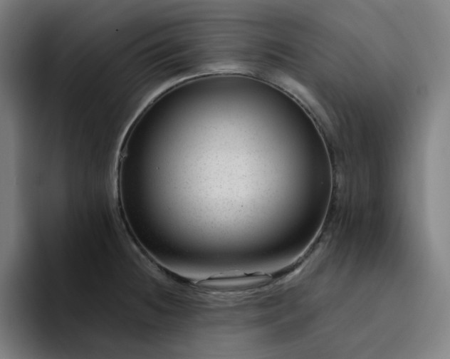X0000094381236200711162124