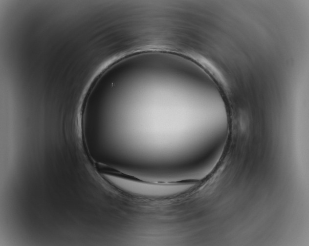 X0000094381238200711162124