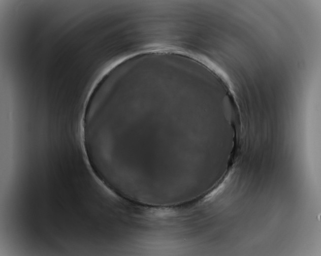 X0000094381239200711162124
