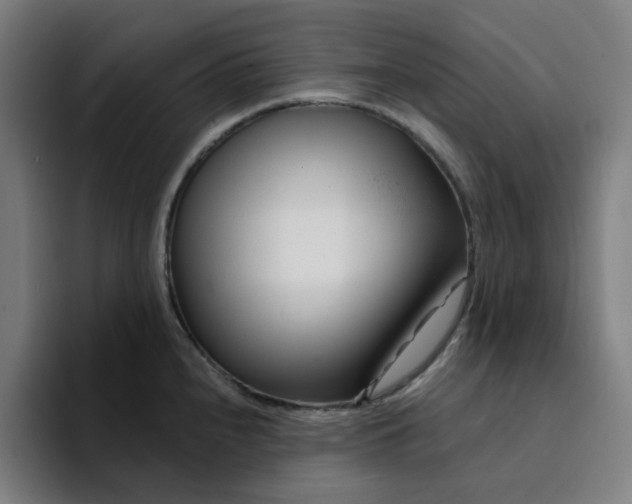 X0000094381240200711162124