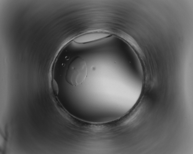 X0000094381242200711162124