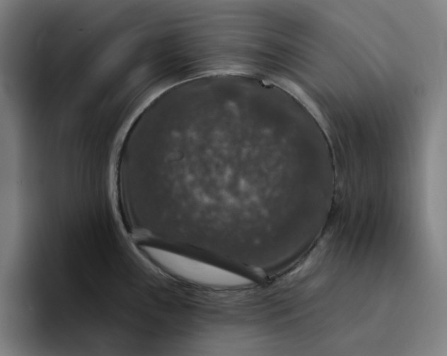 X0000094381243200711162124