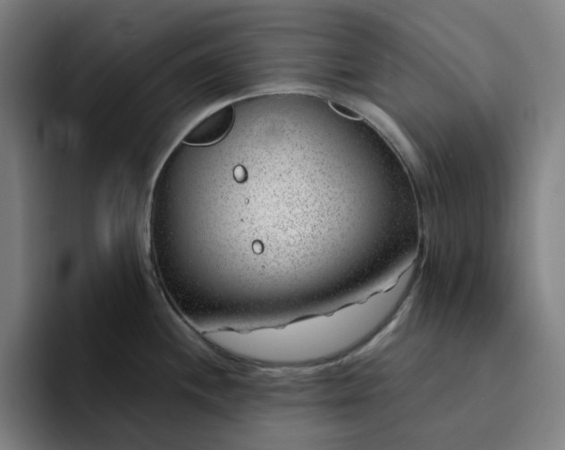 X0000094381244200711162124