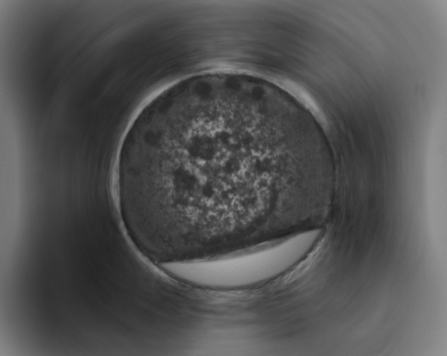 X0000094381247200711162124