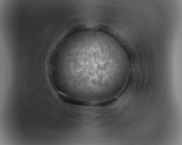 X0000094381249200711162124