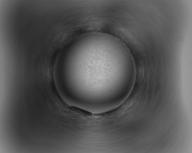 X0000094381250200711162124