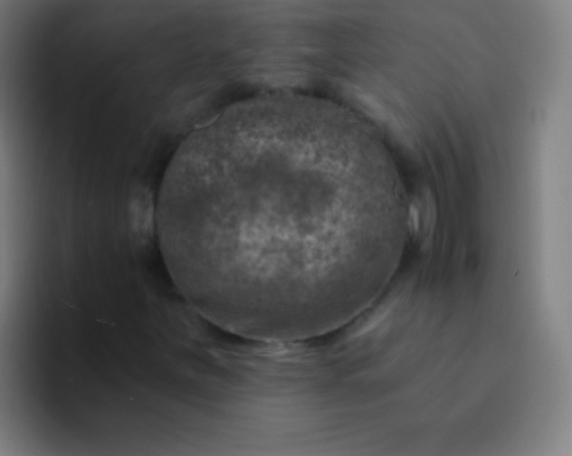 X0000094381251200711162124