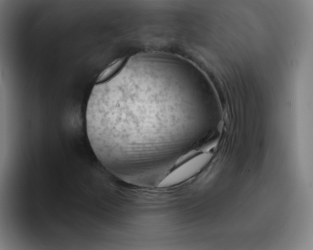 X0000094381252200711162124