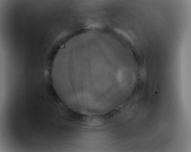 X0000094381254200711162124