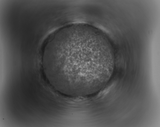 X0000094381255200711162123