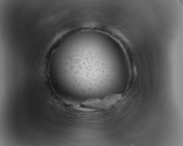 X0000094381256200711162123