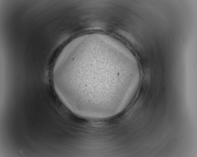 X0000094381258200711162123
