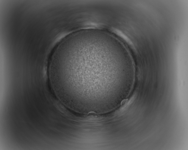 X0000094381259200711162123