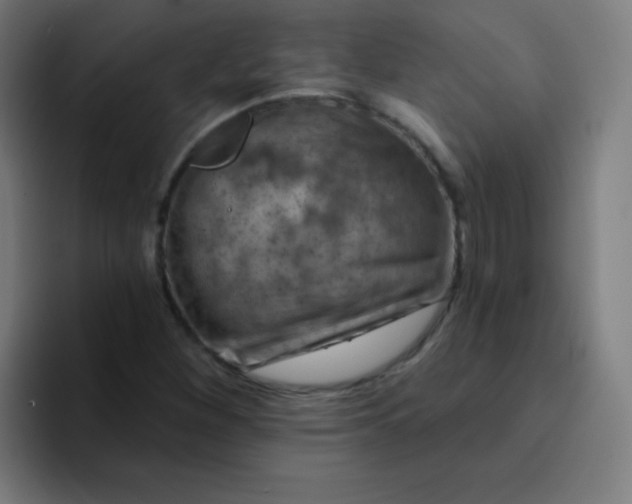 X0000094381260200711162123