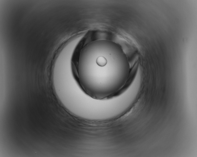 X0000094381261200711162123