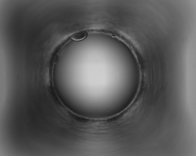 X0000094381262200711162123