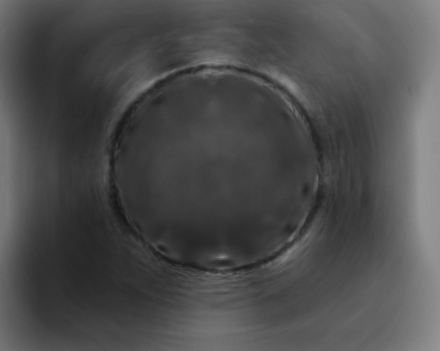 X0000094381263200711162123