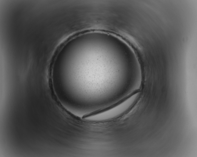 X0000094381264200711162123