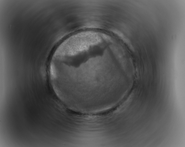 X0000094381266200711162123