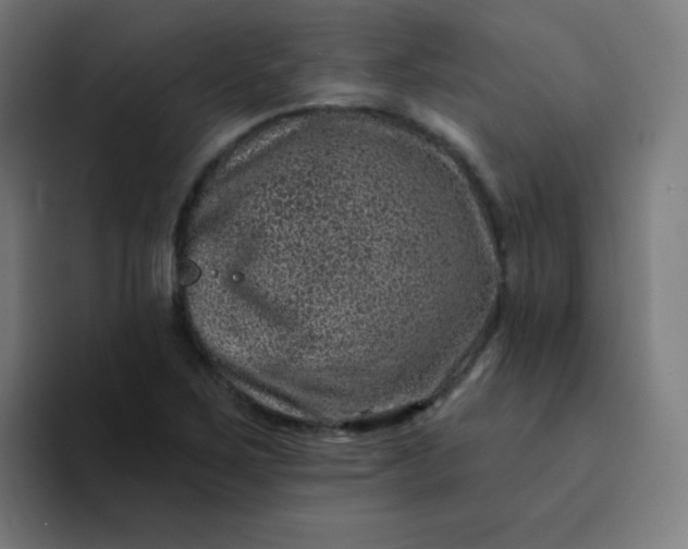 X0000094381267200711162123