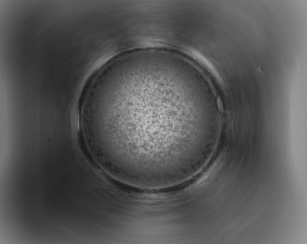 X0000094381269200711162123