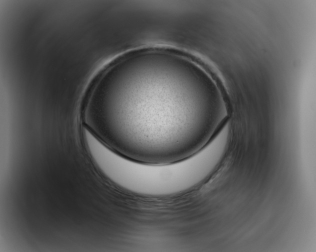X0000094381271200711162123