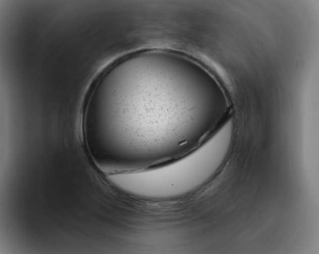X0000094381272200711162123