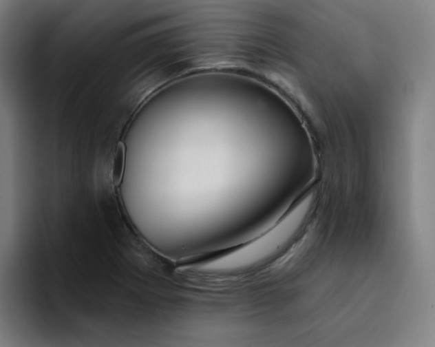 X0000094381273200711162123