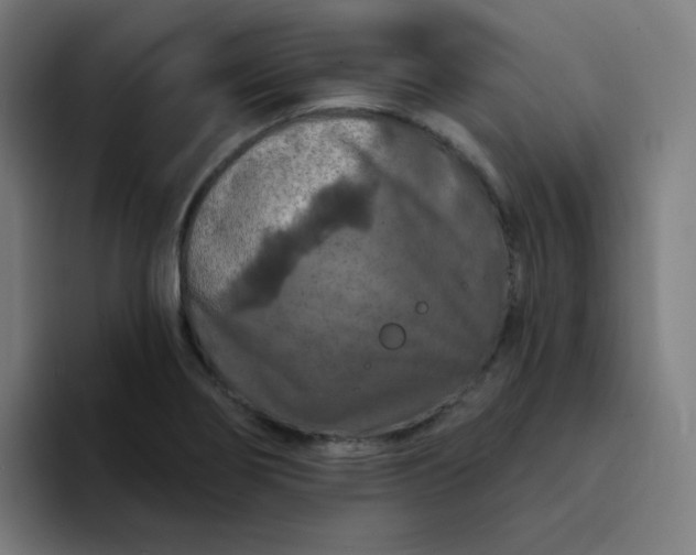 X0000094381274200711162123