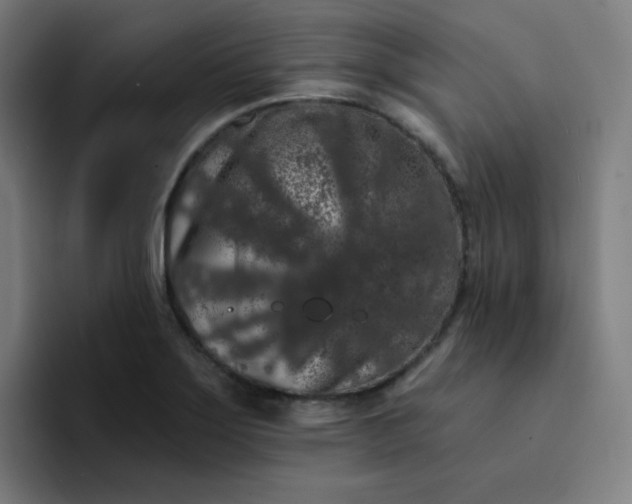 X0000094381275200711162123