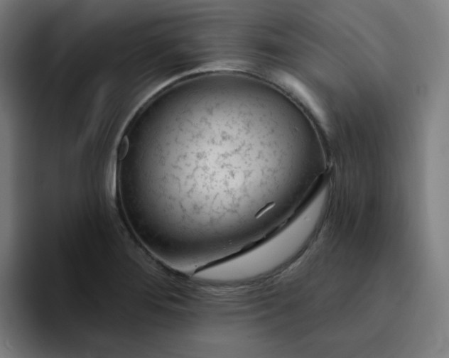X0000094381276200711162123