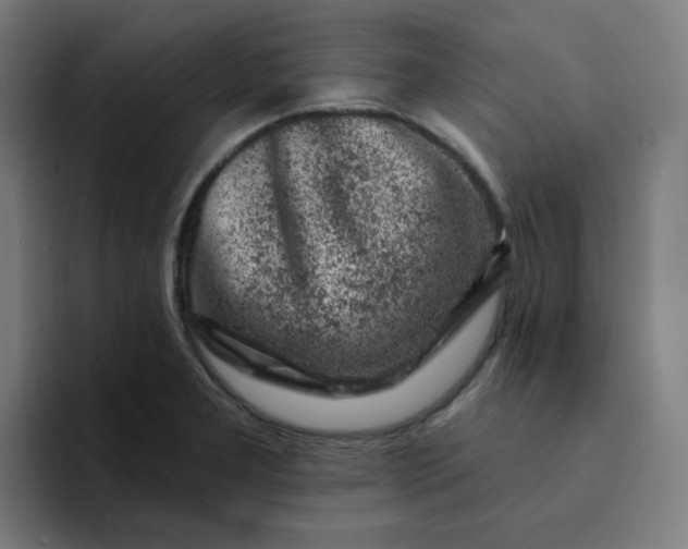 X0000094381277200711162123