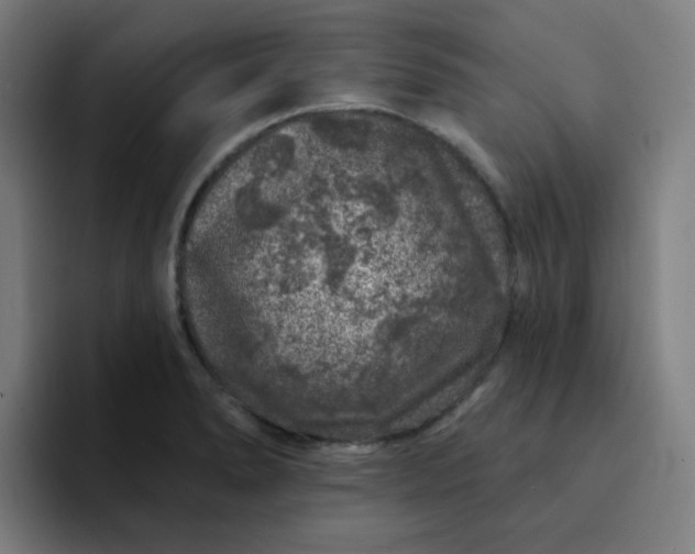 X0000094381278200711162123