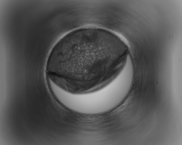 X0000094381279200711162123