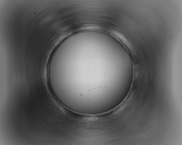 X0000094381282200711162123