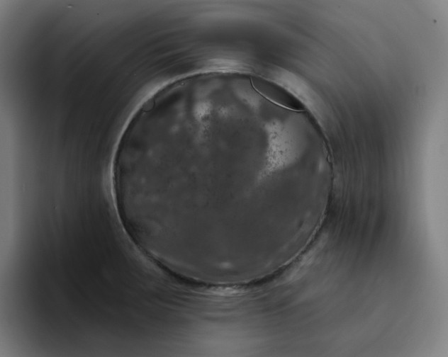 X0000094381283200711162123