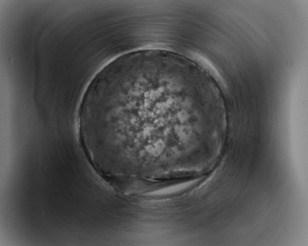 X0000094381284200711162123