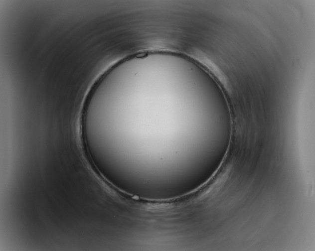 X0000094381285200711162123