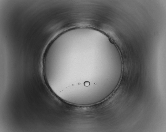 X0000094381286200711162123