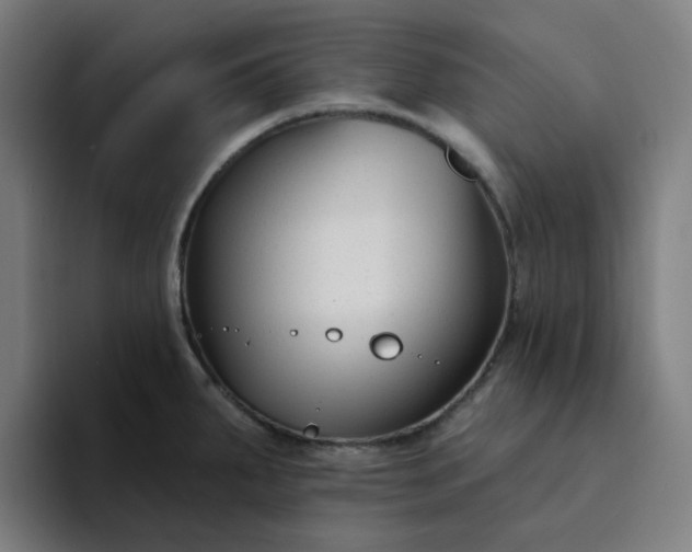X0000094381287200711162123