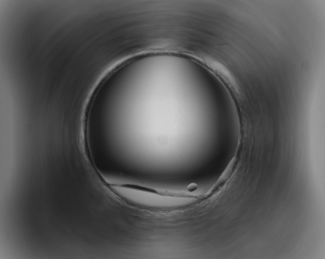 X0000094381288200711162123
