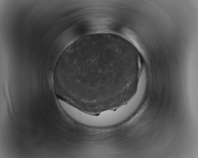 X0000094381289200711162123