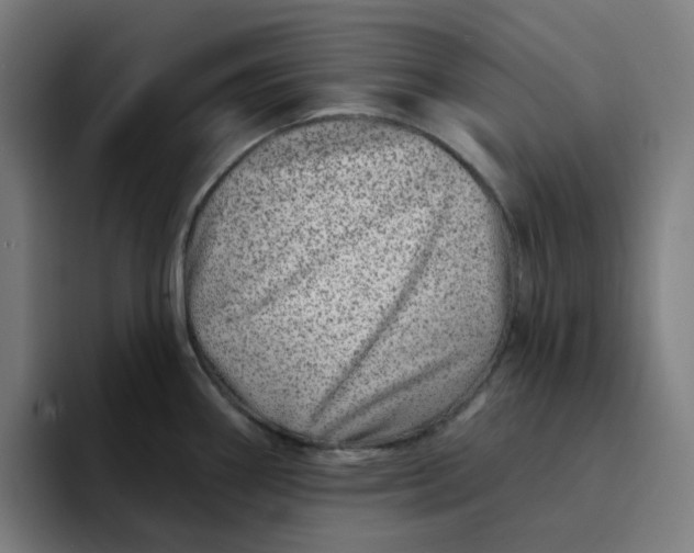 X0000094381290200711162123