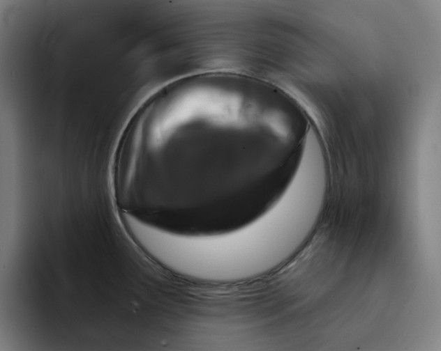 X0000094381291200711162123