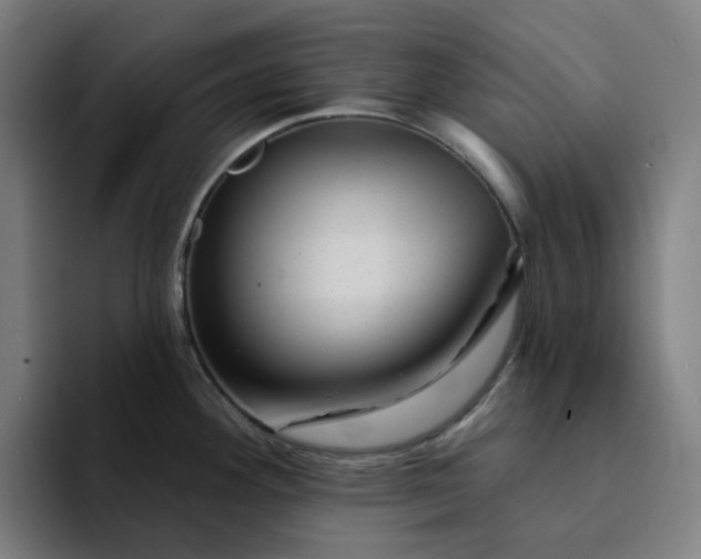 X0000094381292200711162123