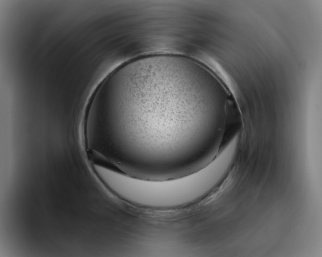 X0000094381293200711162123