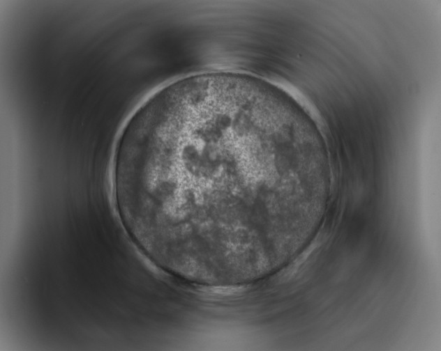 X0000094381294200711162123