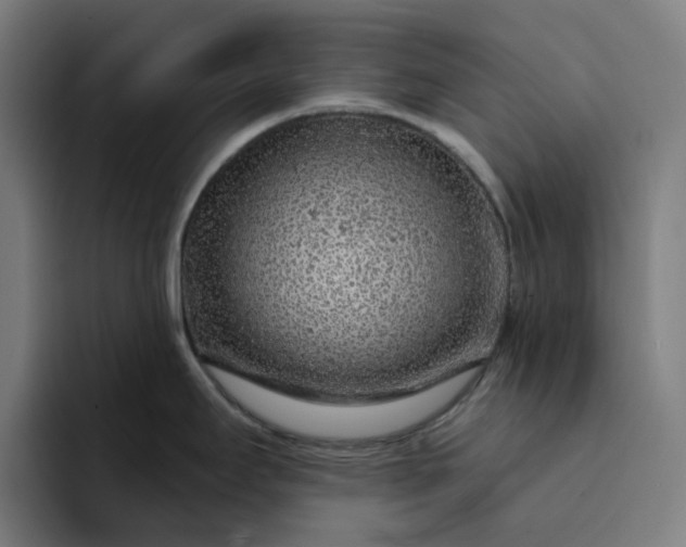 X0000094381295200711162123