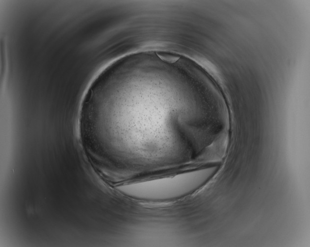X0000094381296200711162123